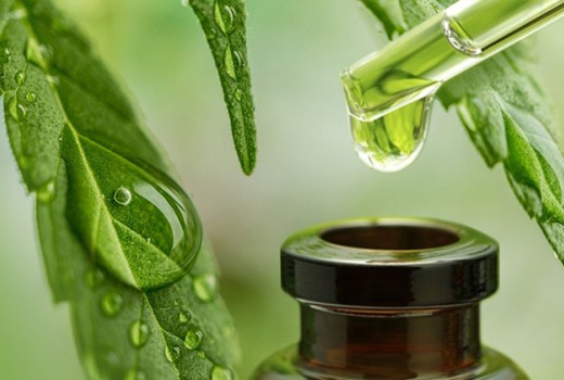 Μέθοδοι Χρήσης CBD & Σχετική Νομοθεσία