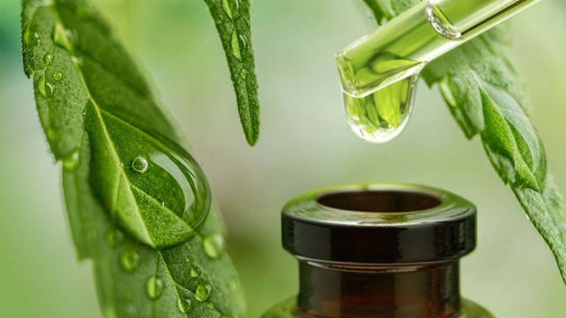 Μέθοδοι Χρήσης CBD & Σχετική Νομοθεσία Μέθοδοι Χρήσης CBD & Σχετική Νομοθεσία