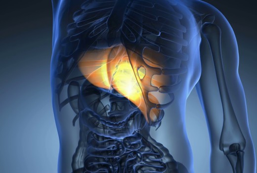 Liver Damage Study Retracted