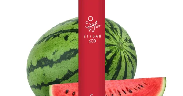 elfbar elfa master akku Elf Bar 600