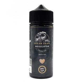 Steam Train Regulator Flavor Shot 24ml/120ml Steam Train Regulator Flavor Shot 24ml/120ml