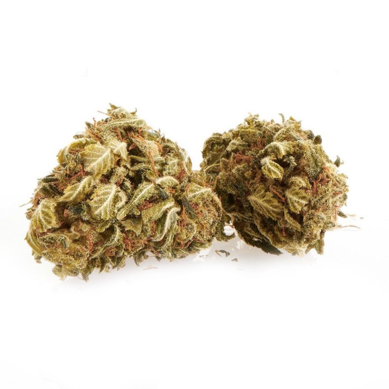 Weedlove Karamel Ανθοί 1gr CBD Ανθοί & Hash - Weedlove Karamel Ανθοί 1gr