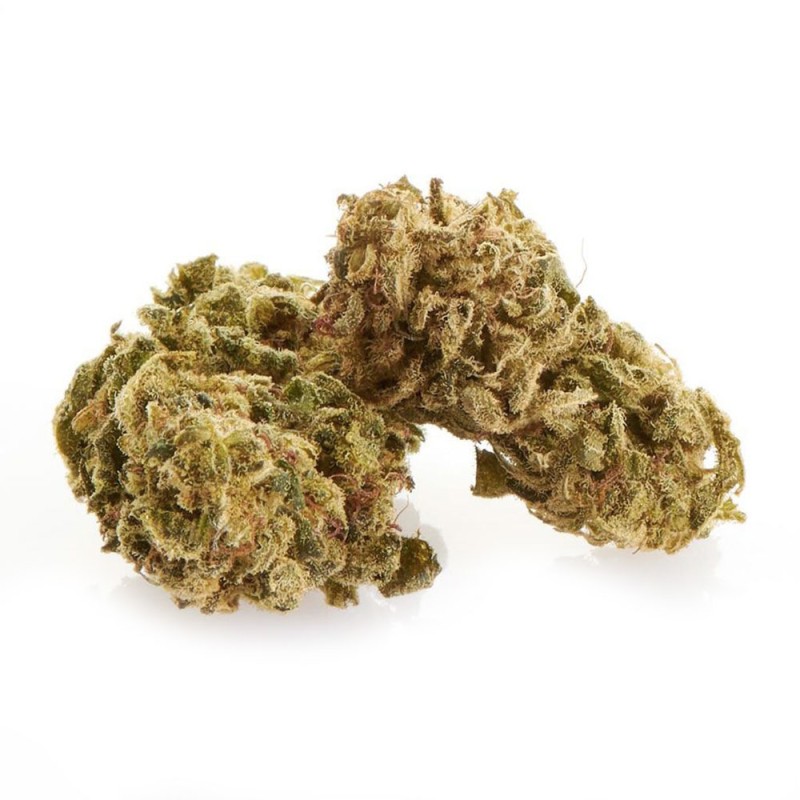 Weedlove Purple Lady Ανθοί 1gr CBD Ανθοί & Hash - Weedlove Purple Lady Ανθοί 1gr